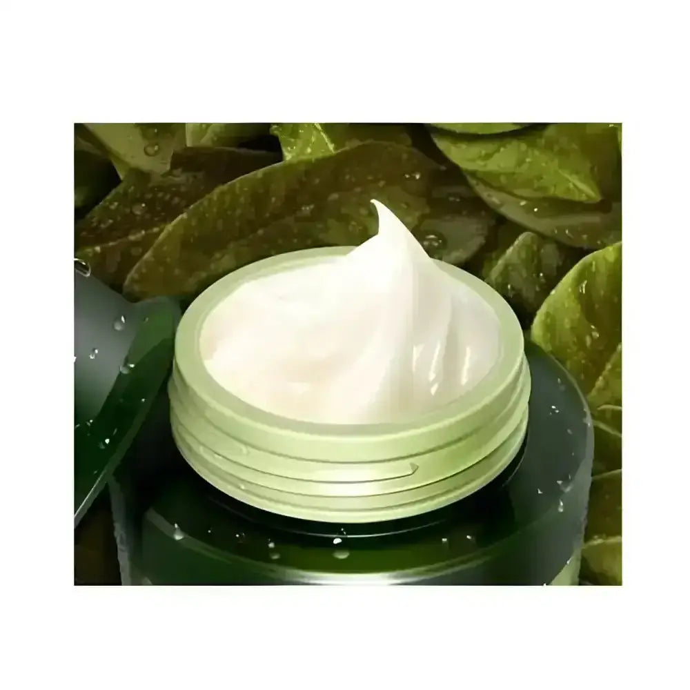 TONYMOLY The Chok Chok Green Tea Watery Moisture Cream 100ml